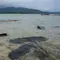 Kapal Feri Tenggelam di Vanuatu, 1 Tewas dan 30 Orang Lainnya Hilang