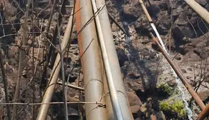 Imbas Kebakaran Hutan Gunung Arjuno-Welirang, Pasuruan Krisis Air Bersih