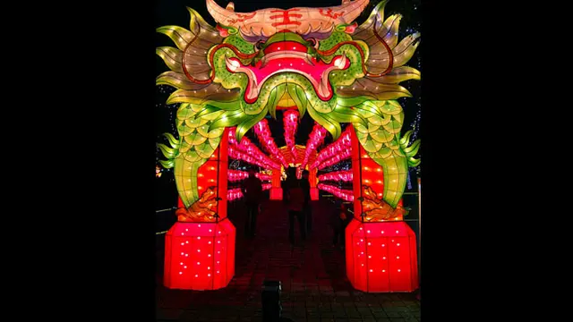 (c) shuflies.blogspot.com