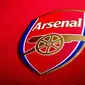 Arsenal akan mencari sosok direktur olahraga untuk mengurusi transfer dan kontrak pemain. (doc. Arsenal)