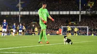 Kiper Everton, Joel Robles, berusaha mengusir seekor kucing yang masuk ke lapangan dalam laga putaran ketiga Piala FA antara Everton melawan Dagenham & Redbridge di Stadion Goodison Park, Liverpool, Sabtu (9/1/2016). (AFP/Paul Ellis)