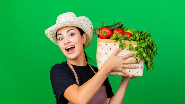 Kenali Makanan Anti-Bloating yang Wajib Dicoba! Cara Alami Membuat Perut Lebih Nyaman