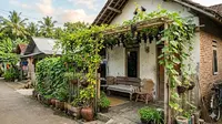 Tips Menanam Buah di Teras Rumah Desa Agar Cepat Panen dan Subur
