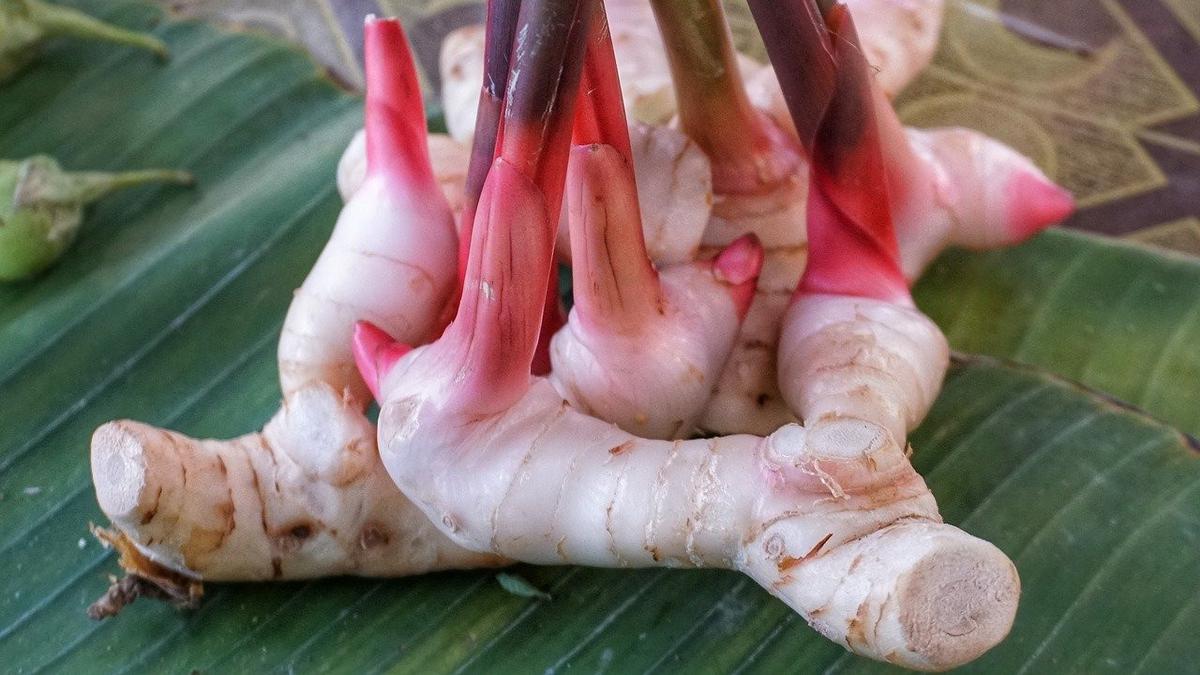 5 Alasan Laos Bumbu Dapur Wajib Ada di Masakan Harian