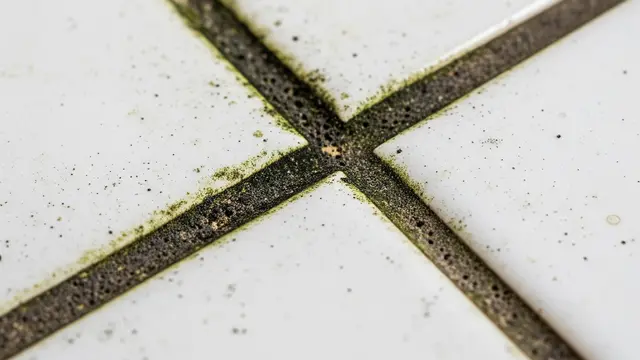 Nat Keramik Kamar Mandi Cepat Kotor dan Sulit Putih Kembali (Gemini AI)