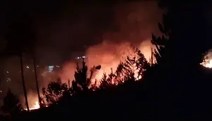 Hutan Mapongka Terbakar, Api Merembet ke Sekolah Rakyat hingga Bandara