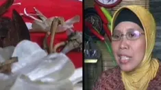 liputan6
