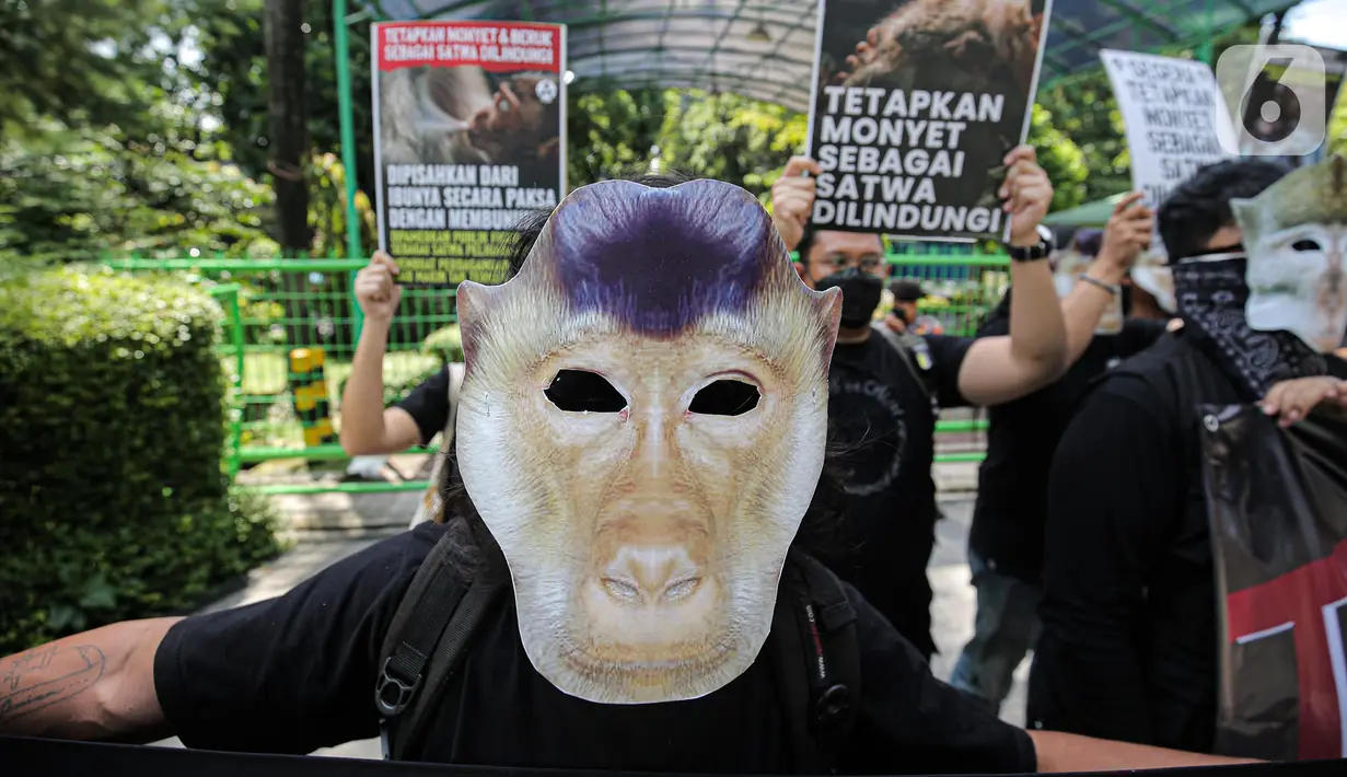 Massa yang tergabung dalam Koalisi Primates Fight Back mengenakan topeng monyet saat melakukan aksi di depan Kantor Kementerian Lingkungan Hidup dan Kehutanan, Jakarta, Senin (12/12/2022). Dalam aksinya mereka mendesak pemerintah untuk menetapkan monyet sebagai satwa dilindungi. (Liputan6.com/Faizal Fanani)