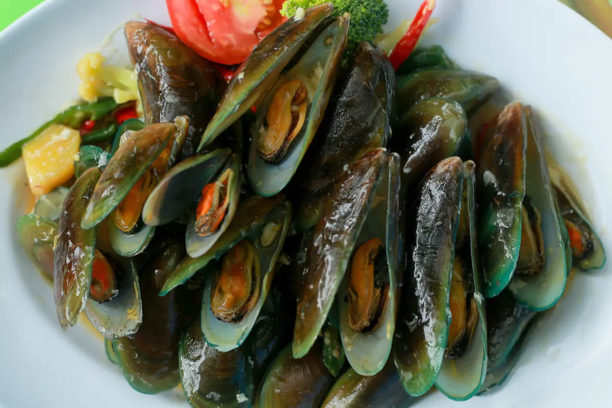 kerang hijau