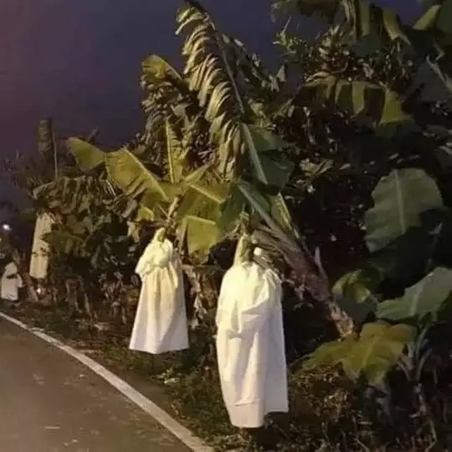 7 Momen Aneh Waktu di Jalan, Ada Penampakan Pocong Hingga Dinosaurus