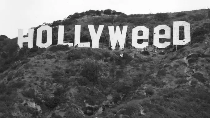 [Bintang] Sederet Potret Hollyweed yang Hebohkan Warga Dunia