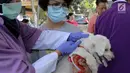 Petugas menyuntikkan vaksin rabies kepada anjing di perumahan Jakarta Timur, Rabu (3/10). Selain menyuntikkan vaksin rabies petugas juga memasang micro chip ke tubuh hewan peliharaan. (Merdeka.com/Imam Buhori)