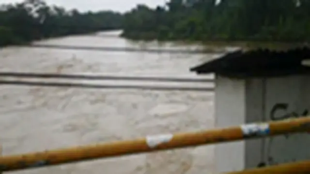 [VIDEO] Banjir Pamanukan, Rendam Ratusan Hektar Sawah
