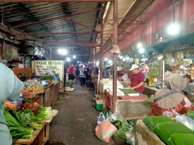 Harga Kacang Panjang Naik
