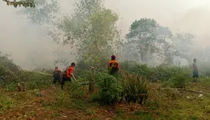 Hotspot Kebakaran Hutan Nasional Tembus 1.437, Kalteng Terbanyak