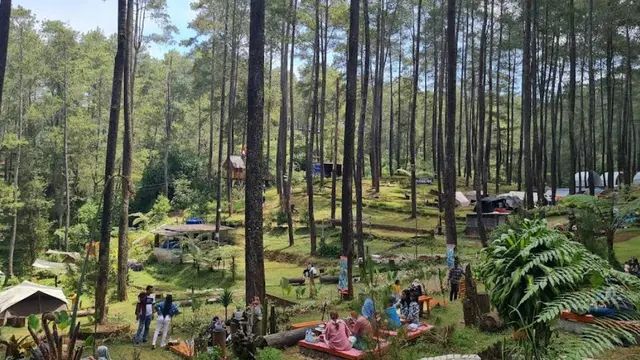 Pal 16 Cikole