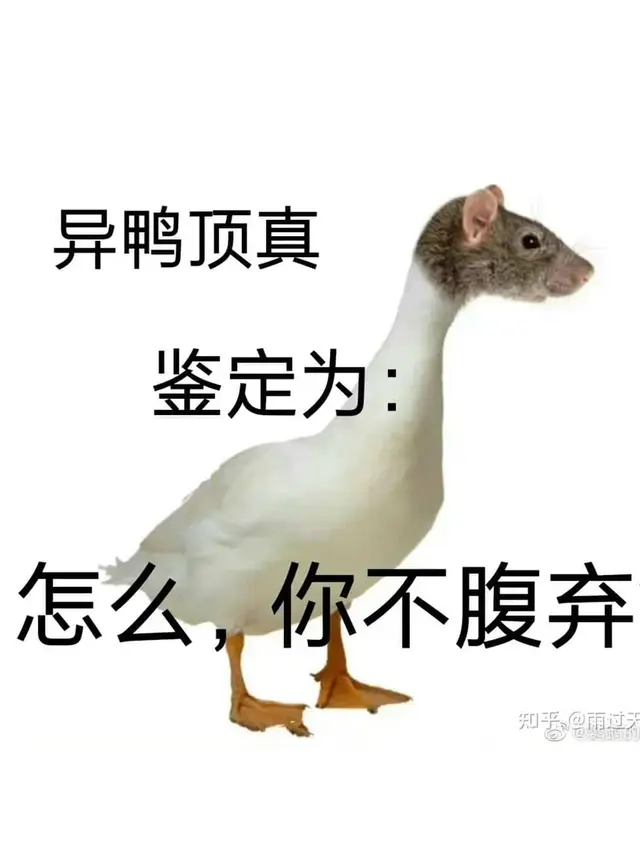 Siswa Temukan Kepala Tikus di Makan Siang Kantin, Pihak Sekolah Klaim Itu Bebek