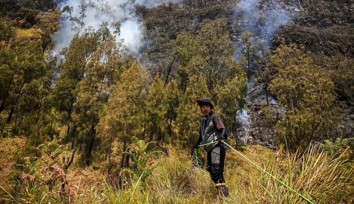 Petugas berupaya memadamkan kebakaran hutan di kawasan Taman Nasional Bromo Tengger Semeru (TNBTS), Kabupaten Probolinggo, Jawa Timur, Kamis (6/8/2026). (AFP/ Juni Kriswanto)