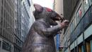 Balon tikus raksasa berjalan di tengah kota untuk diletakkan di luar kantor perusahaan di New York, Kamis (26/12/2019). Balon tikus itu sengaja ditempatkan di luar kantor sebuah pengembang di Manhattan yang dituduh tidak membayar upah pekerja bangunan non-serikat. (TIMOTHY A. CLARY/AFP)