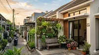 Cara Membuat Kebun Buah Gantung di Rumah Type 27, Solusi Cerdas Memaksimalkan Lahan Sempit