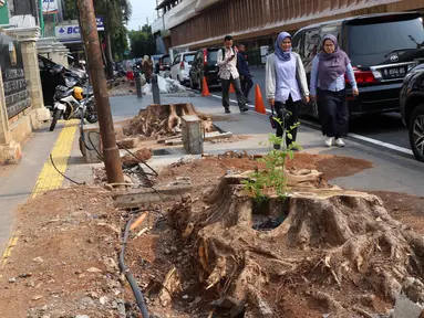 Pejalan kaki melintas di sisi sisa pohon yang ditebang untuk revitalisasi trotoar di kawasan Cikini, Jakarta, Kamis (21/11/2019). Setiap 21 November diperingati sebagai Hari Pohon Sedunia, hal ini untuk mengingatkan masyarakat akan manfaat tanaman bagi kehidupan. (Liputan6.com/Helmi Fithriansyah)