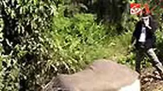 liputan6