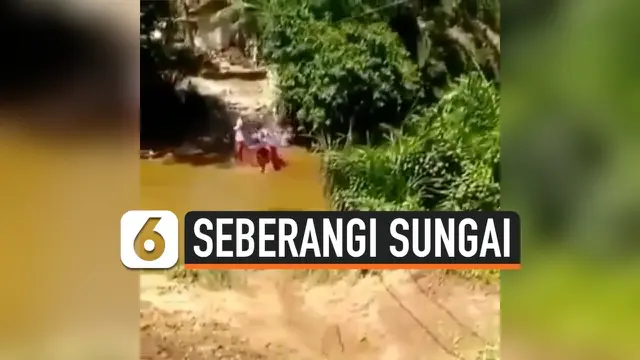 VIDEO: Kata Pemda Kampar Soal Bocah Bergelantungan Seberangi Sungai
