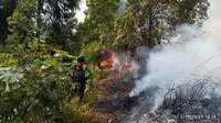 Kebakaran hutan Gunung Petarangan, Batur, Dataran Tinggi Dieng, Banjarnegara, Jawa Tengah. (Foto: Liputan6.com/SRU RAPI BNA/Muhamad Ridlo).