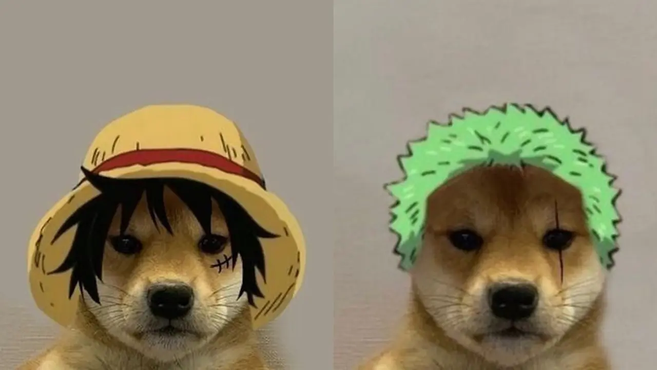 6 Editan Foto Anjing Jadi Kru Mugiwara One Piece Ini Kocak