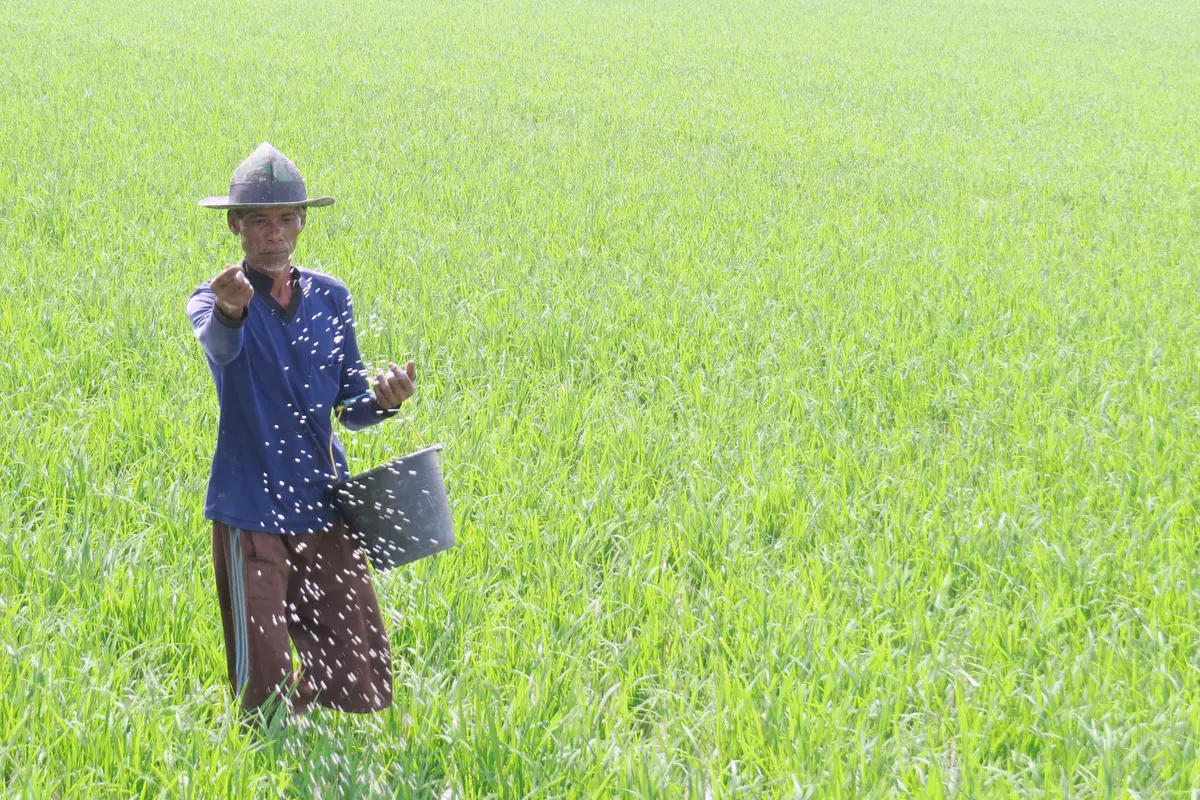 Kementan Permudah Penebusan Pupuk Subsidi