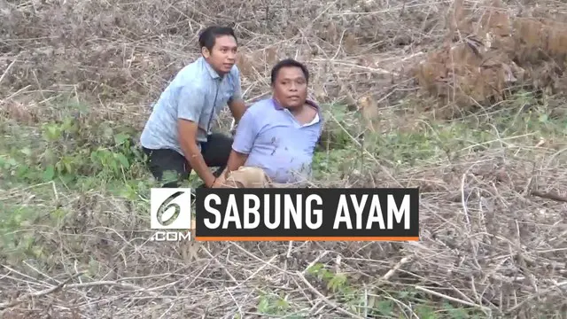 Polisi Gorontalo terlibat aksi kejar-kejaran dengan para pejudi sabung ayam. Para pelaku berlari kocar-kacir hingga tertangkap di atas bukit.