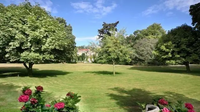 [Bintang] George Clooney