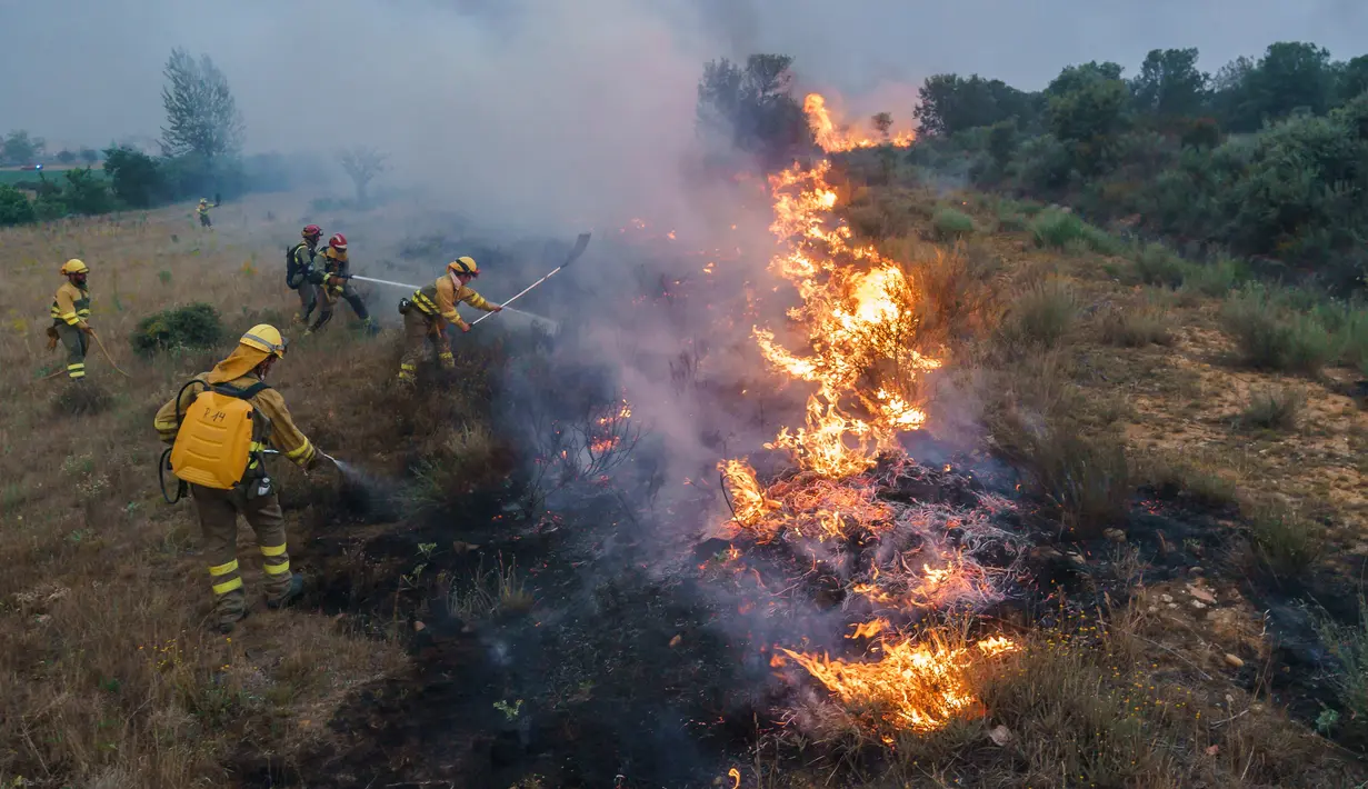 Petugas pemadam kebakaran beroperasi di lokasi kebakaran hutan di Pumarejo de Tera dekat Zamora, Spanyol, 18 Juni 2022. Kebakaran hutan terbesar masih di luar kendali sore ini di Sierra de la Culebra, sebuah pegunungan di wilayah Castile dan Leon (barat laut), dekat perbatasan dengan Portugal. (CESAR MANSO/AFP)