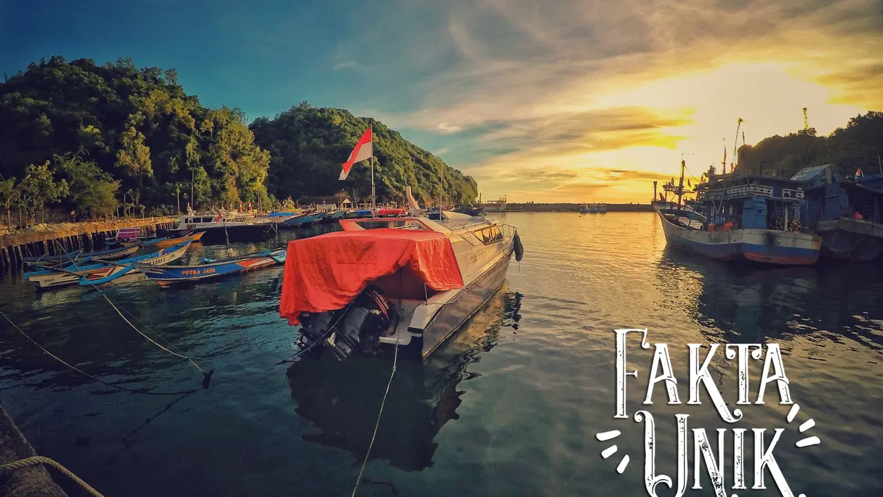 [Bintang] Fakta Unik