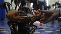 Suwarno, warga Kecamatan Anggana, Kabupaten Kutai Kartanegara mengubah limbah kepiting menjadi kerajinan yang cantik.