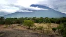 Pemandangan Gunung Agung yang terpantau dari kecamatan Kubu di Karangasem, Bali, Rabu (22/11). Aktivitas Gunung Agung kini mereda, tak ada lagi semburan asap pekat dan jugan abu vulkanik yang sempat dirasakan oleh warga. (SONNY TUMBELAKA/AFP)