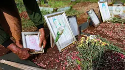 Sardi, pengurus makam merapikan pigura Vanessa Angel dan Bibi Ardiansyah di TPU Taman Makam Islam Malaka Blok D, Pesanggrahan, Jakarta, Senin (7/02/2022). Pihak Doddy Sudrajat diketahui sudah mengurus perizinan untuk memindahkan makam Vanessa Angel ke TPU Karet Bivak. (Liputan6.com/Fery Pradolo)