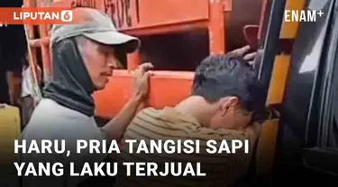 Media sosial dibuat haru oleh momen seorang pria peternak sapi. Pria berbaju oranye itu menangisi sapi yang sudah diangkut ke bak mobil pick up. Sesekali ia mengelus kepala si sapi sembari mengusap air matanya.