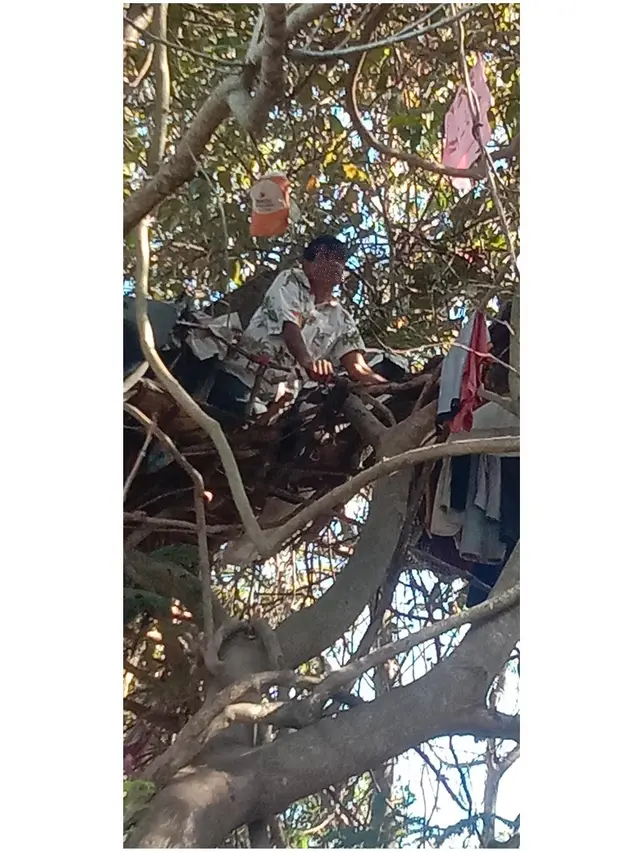 Merasa Hidupnya Terlalu Berat, Pria Ini Memilih Tinggal di Pohon Sejak 3 Tahun Lalu