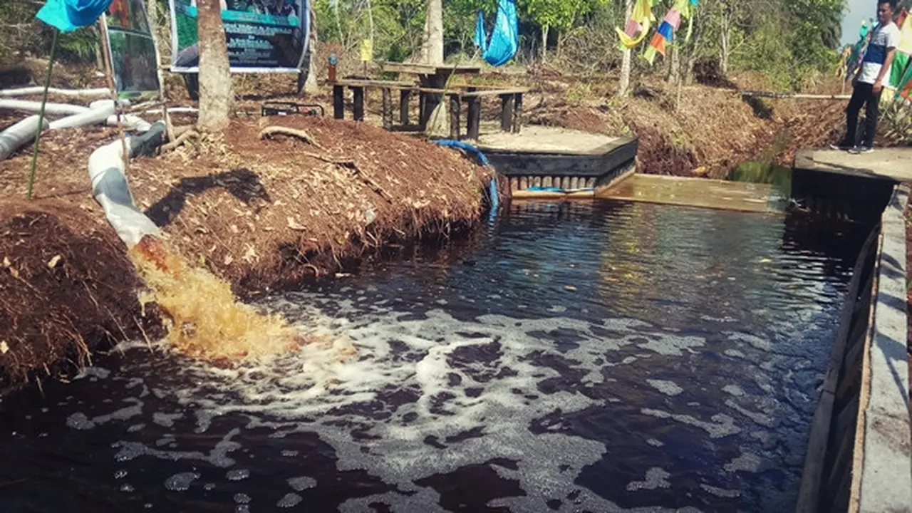 Pembuatan sekat kanal dipercaya mempertahankan kebasahan gambut pada saat kemarau.
