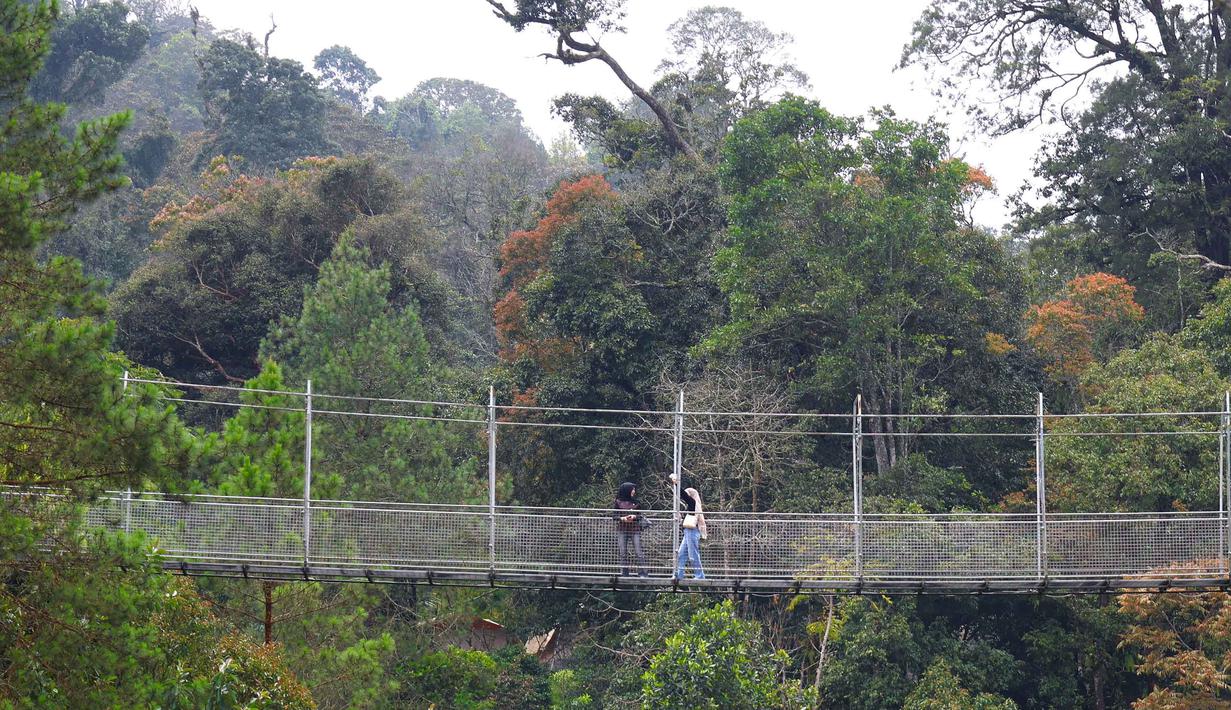 Kawasan wisata ini menawarkan daya tarik seperti Kawah Kereta Api, sauna alami, dan jembatan gantung di ketinggian sekitar 1.200 mdpl. Tampak dalam foto, pengunjung menikmati suasana Kawah Kamojang dari jembatan gantung, Kabupaten Garut, Jawa Barat. (Kapanlagi.com/Budy Santoso)