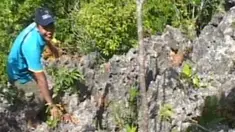 liputan6