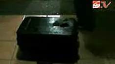 liputan6