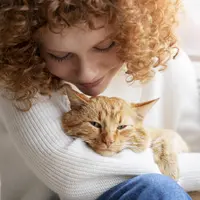 Ilustrasi Mimpi Menggendong Kucing Credit:Freepik.com