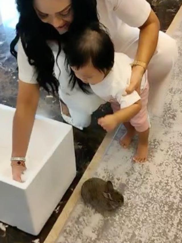 Krisdayanti dan Ameena