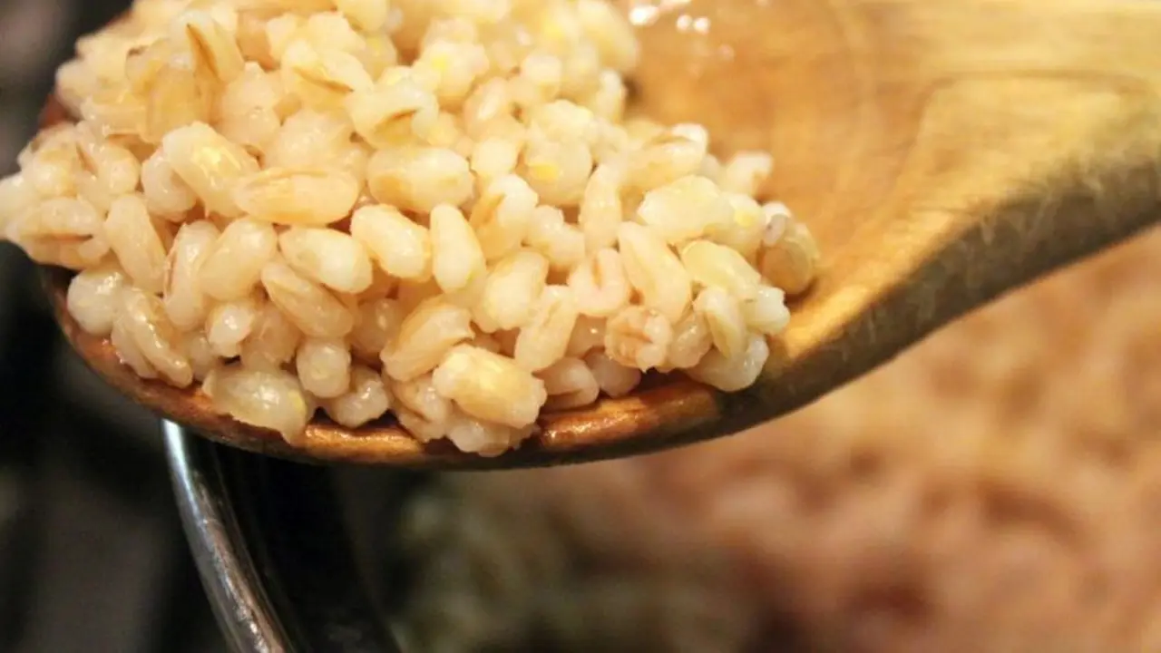 Barley