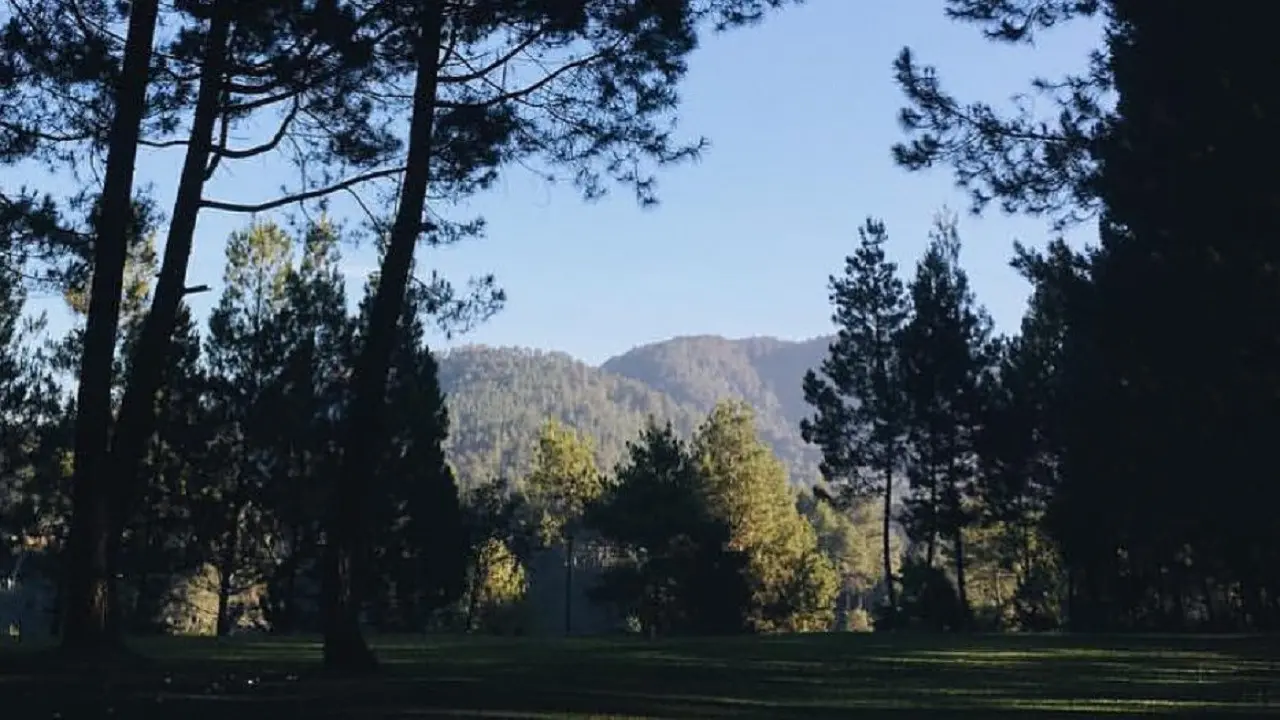 Pine Hill Cibodas