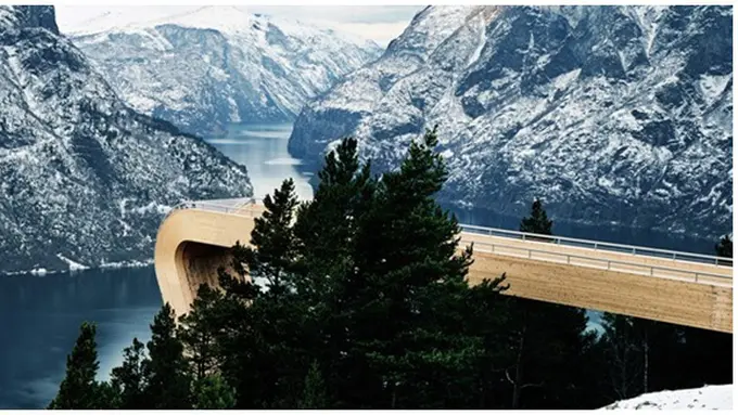 courtesy of saunders