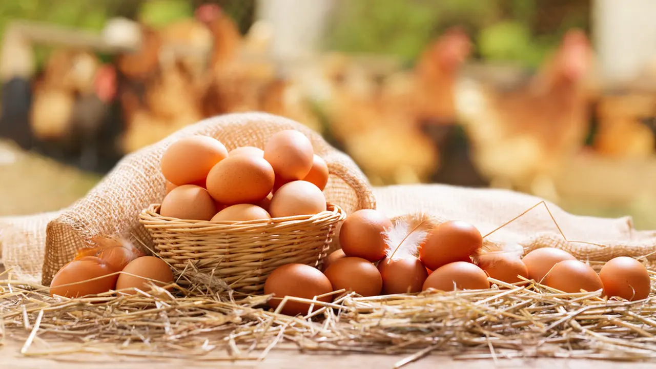 Resep