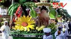 liputan6